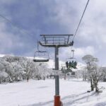Day Trip To Snowy Mountains From Sydney - The Practicalities: What This Tour Means for You