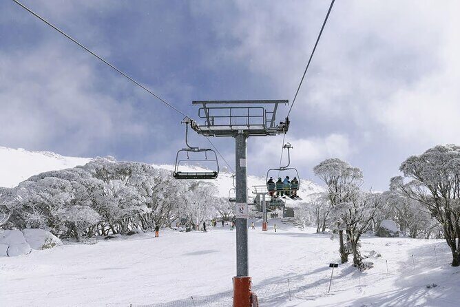 Day Trip To Snowy Mountains From Sydney - The Practicalities: What This Tour Means for You