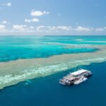 Daydream Island: Great Barrier Reef Adventure Cruise - Authentic Insights from Travelers