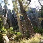 Daylesford Goldfields Track Walking and Wellness Experience - An In-Depth Look at the Itinerary