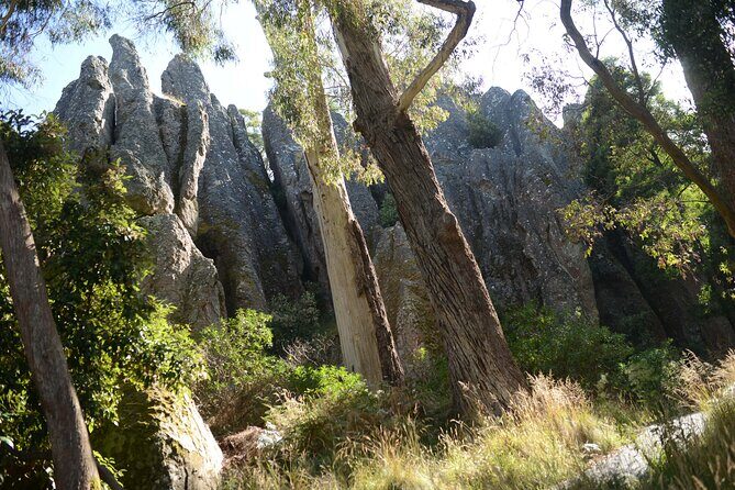 Daylesford Goldfields Track Walking and Wellness Experience - An In-Depth Look at the Itinerary