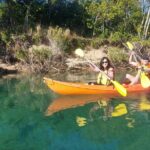 Daytime Kayak Eco Tour of New South Wales - The Sum Up