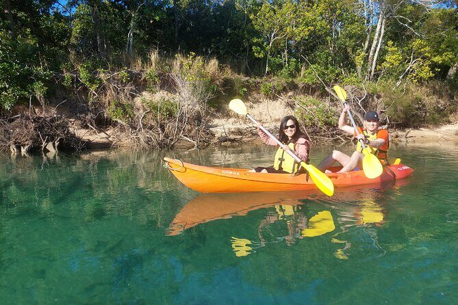 Daytime Kayak Eco Tour of New South Wales - The Sum Up