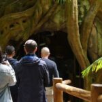 Daytime Scenic Rim Glow Worm Tour + Hop on Hop off Bus - Authentic Experiences and Genuine Highlights