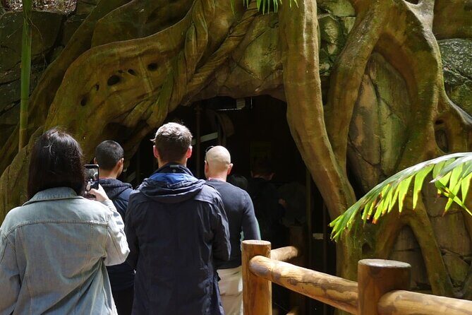 Daytime Scenic Rim Glow Worm Tour + Hop on Hop off Bus - Authentic Experiences and Genuine Highlights