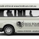 Deluxe Springbrook & Mt Tamborine Glow Worms and famous Skywalk - What’s included and what’s not?