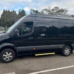 Departing Sydney: Luxury Transfer to Airport or Cruise Port - Final Thoughts