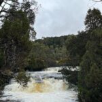 Devonport Cradle Mt Sightseeing tour - What Our Reviewers Say