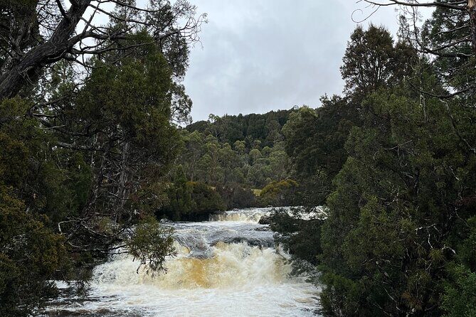 Devonport Cradle Mt Sightseeing tour - What Our Reviewers Say