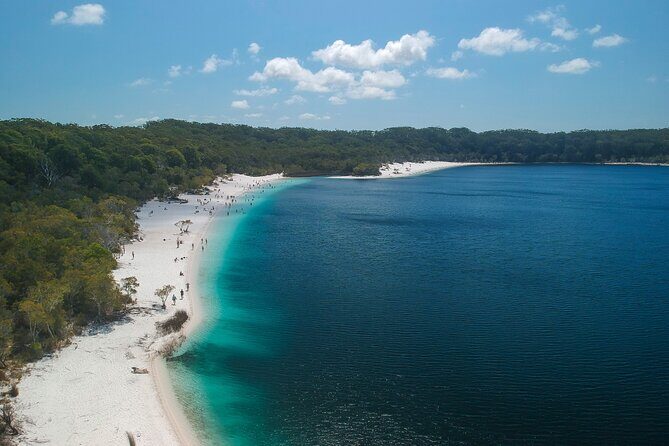 Dingos 3 Day K'Gari (Fraser Island) 4WD Tag-Along Tour - What Makes This Tour Stand Out?