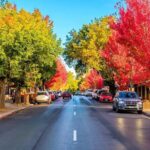 Discover Charms of Hahndorf & Hills (Full Day Tour) - What Makes This Tour Stand Out?