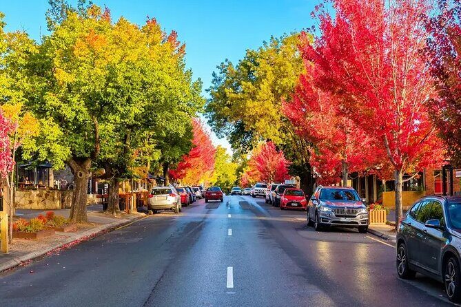 Discover Charms of Hahndorf & Hills (Full Day Tour) - What Makes This Tour Stand Out?