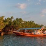 Discover Darwin Harbour 1 hour Darwin Harbour Cruise - Why You Should Book This Tour