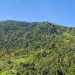 Discover Fiji's Key Attractions in Nadi for a Half-Day Visit - FAQ