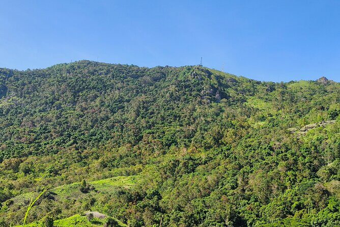 Discover Fiji's Key Attractions in Nadi for a Half-Day Visit - FAQ