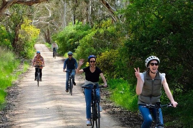 Discover McLaren Vale on eBikes - Full Day - Why This Tour Works for Different Travelers