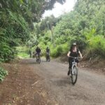 'Discover' Rarotonga Cycling Tour with Lunch - The Value of the Experience