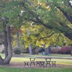 Discover Toowoomba Tours - The Itinerary Breakdown