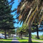 Discover Victor Harbor Walking Tour - Victor Harbor as a Port and Transportation Hub