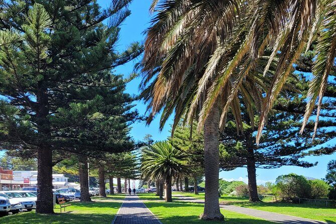 Discover Victor Harbor Walking Tour - Victor Harbor as a Port and Transportation Hub