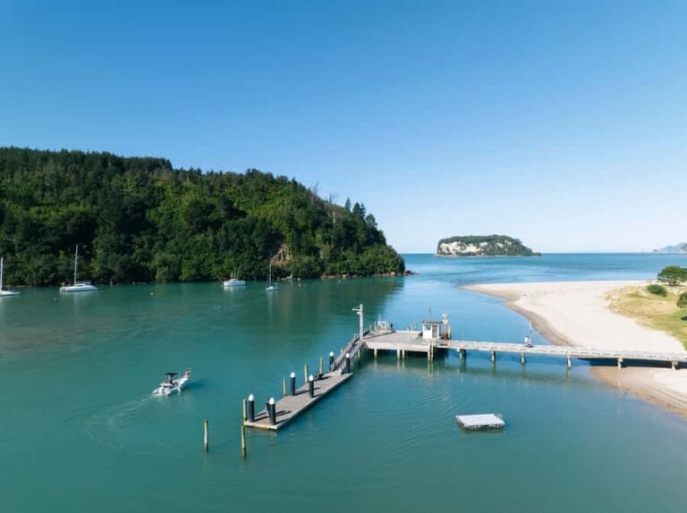 Discover Whangamata - Boat Tour - What We Think: The Pros and Cons