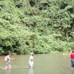 Discovery Bush Walk from Port Vila - Who Should Consider This Tour?