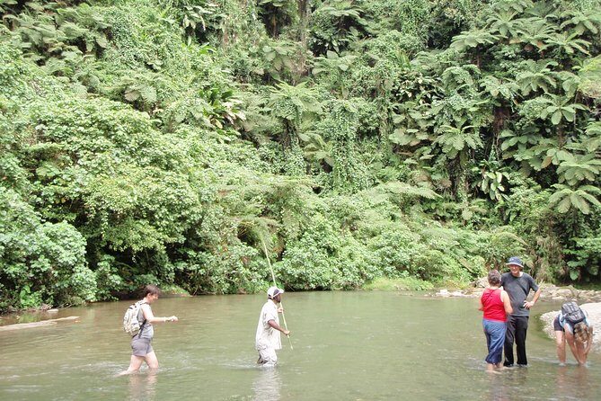 Discovery Bush Walk from Port Vila - Who Should Consider This Tour?