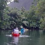 Discovery in Kayaking of the Faaroa River in Raiatea - Practical Tips for Your River Kayaking Trip