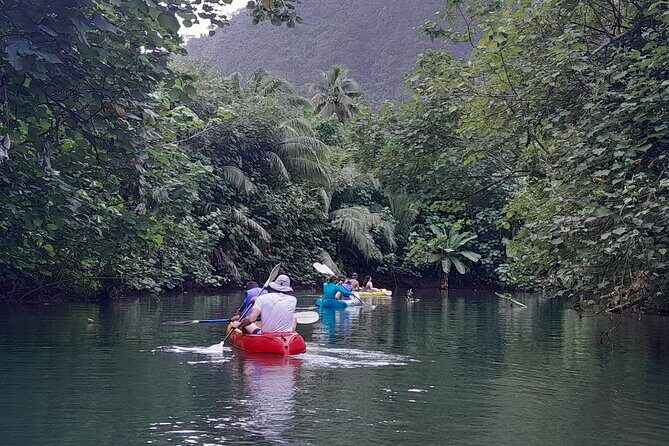 Discovery in Kayaking of the Faaroa River in Raiatea - Practical Tips for Your River Kayaking Trip