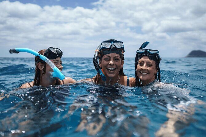 Dive Into Paradise: Snorkel Adventure at Paradise Cove - What the Tour Includes & Omits