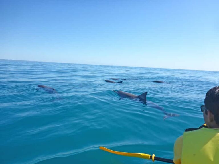 Dolphin Kayak Tour & Beach 4X4 National Park Tour (Private) - The Marine Park and Water Adventures