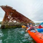 Dolphin Sanctuary and Ships Graveyard Kayak Tour - The Guides and Group Size