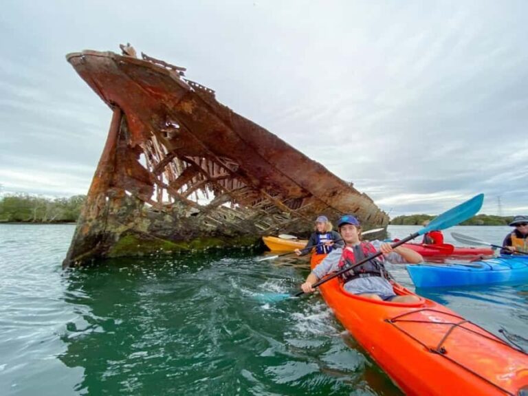 Dolphin Sanctuary and Ships Graveyard Kayak Tour - The Guides and Group Size