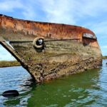 Dolphin Sanctuary Kayak Tour Adelaide - What You Can Expect on the Tour