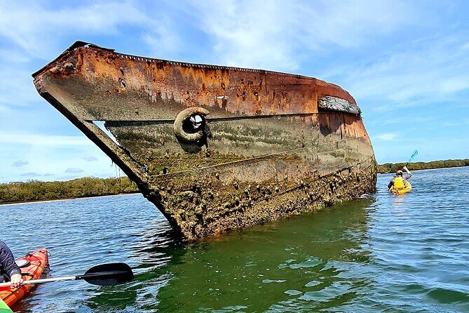 Dolphin Sanctuary Kayak Tour Adelaide - What You Can Expect on the Tour