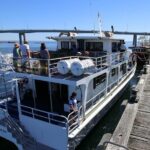 Dolphin & Whale Cruise - In-Depth Look at the Itinerary