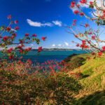 Duder Regional Park Walking Tours - What to Expect During the Tour