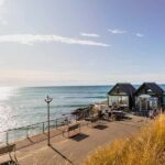 Dunedin: 3 Hour Artisan Food Walking Tour - Analyzing the Value