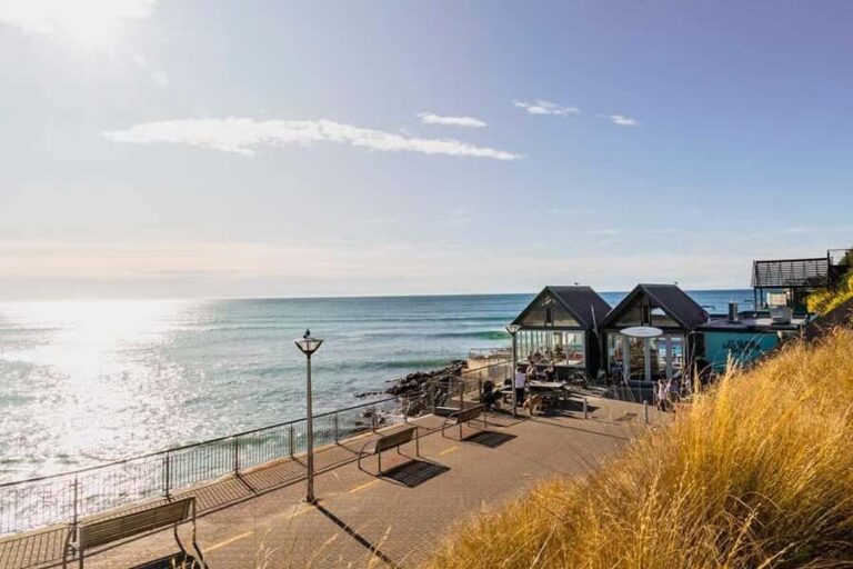 Dunedin: 3 Hour Artisan Food Walking Tour - Analyzing the Value