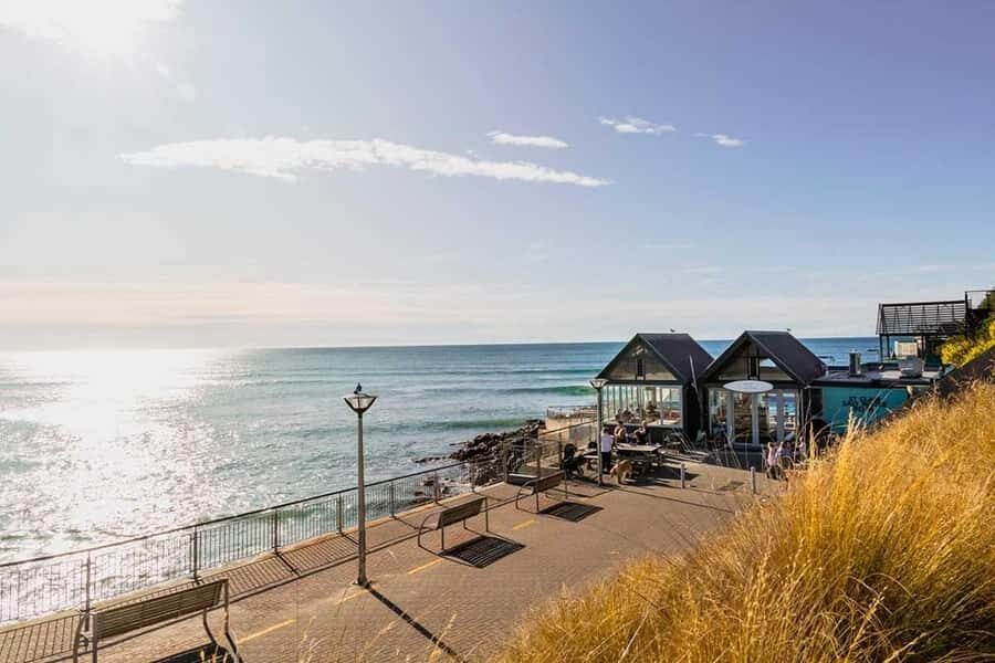 Dunedin: 3 Hour Artisan Food Walking Tour - Analyzing the Value