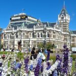 Dunedin and Otago Peninsula Private Tours Up to 4 people - The Sum Up
