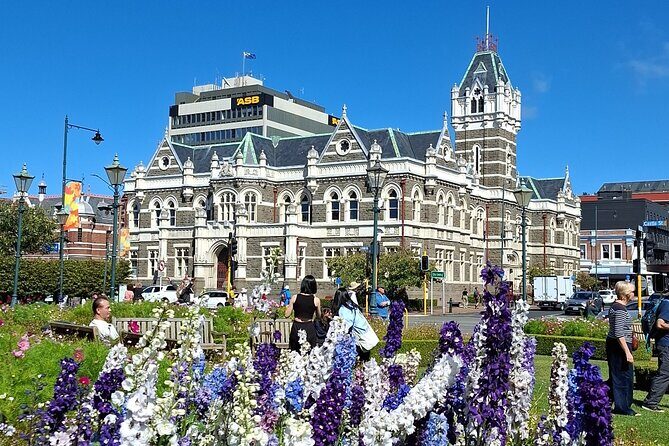 Dunedin and Otago Peninsula Private Tours Up to 4 people - The Sum Up