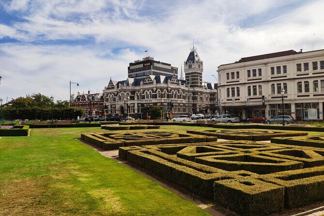 Dunedin City and Coastal Views 3-Hour Small-Group Guided Tour - What You Can Expect in Terms of Experience