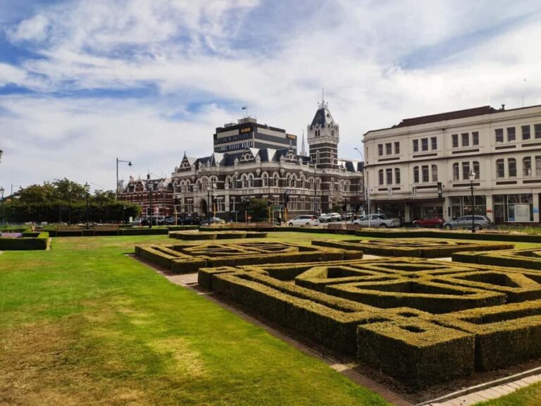 Dunedin City & Coastal Views 3-Hour Small-Group Tour - Authenticity and Guide Quality