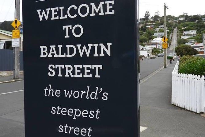 Dunedin City Highlights, Otago Peninsula Scenery & Albatross Guided Tour - FAQ