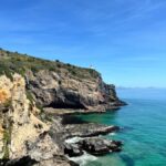 Dunedin City & Otago Peninsula Scenery Day Tour - Transportation & Guide Experience