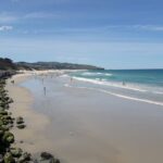 Dunedin Nature & City Tour  Full Day Cruise Excursion - The Value of This Tour