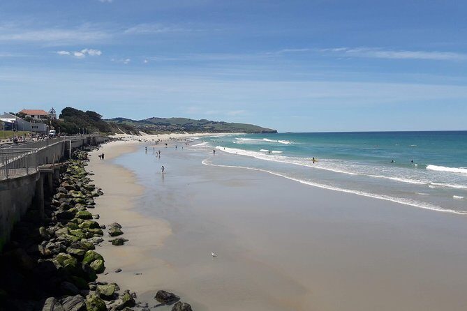 Dunedin Nature & City Tour  Full Day Cruise Excursion - The Value of This Tour