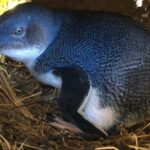 Dunedin Private Fullday Tour - The Itinerary in Detail