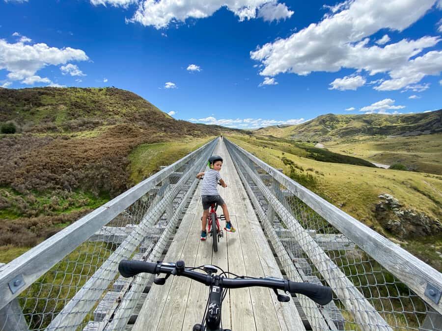 Dunedin: Scenic Railway Tour Through the Taieri Gorge - Who Will Love This Tour?